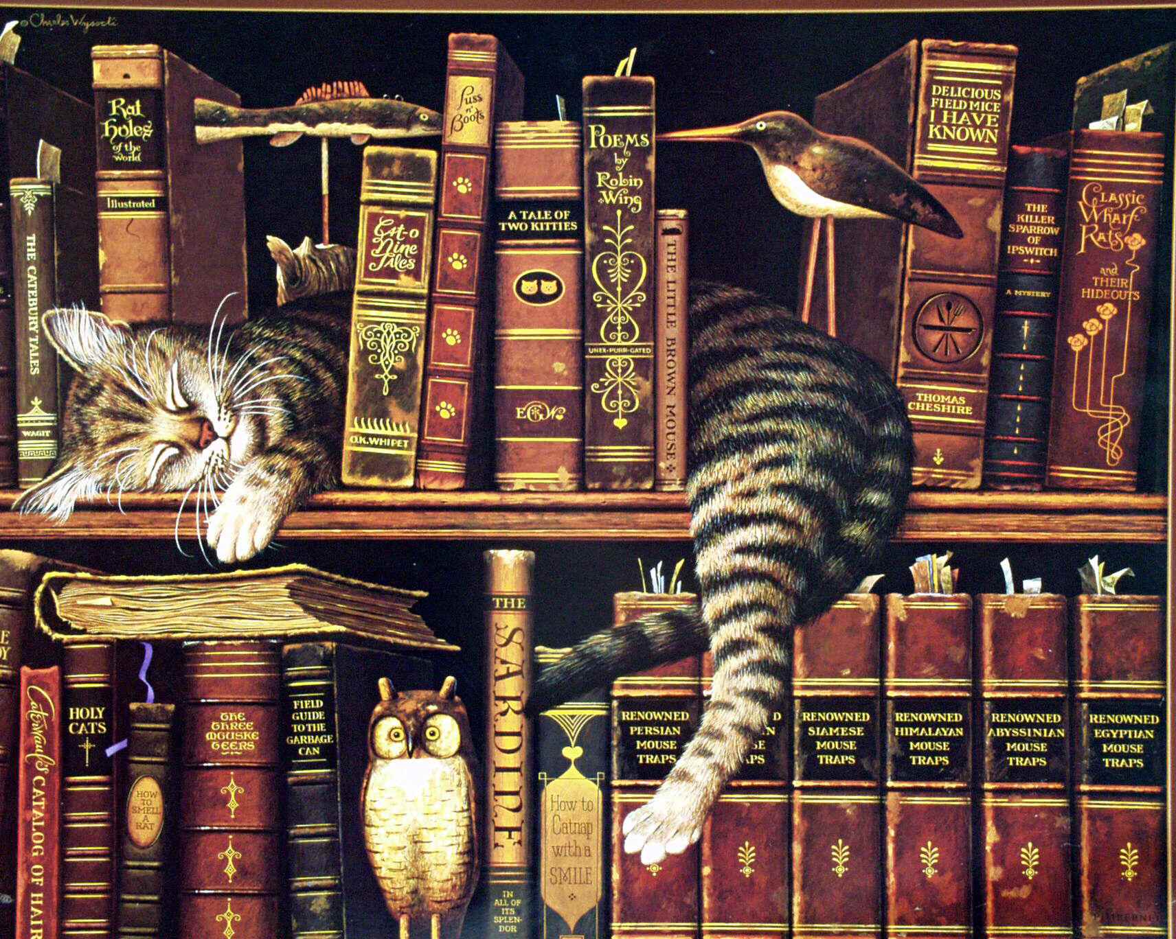 Котенок в книжной полке бесплатно
